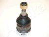 ASHIKA 73-03-307 Ball Joint